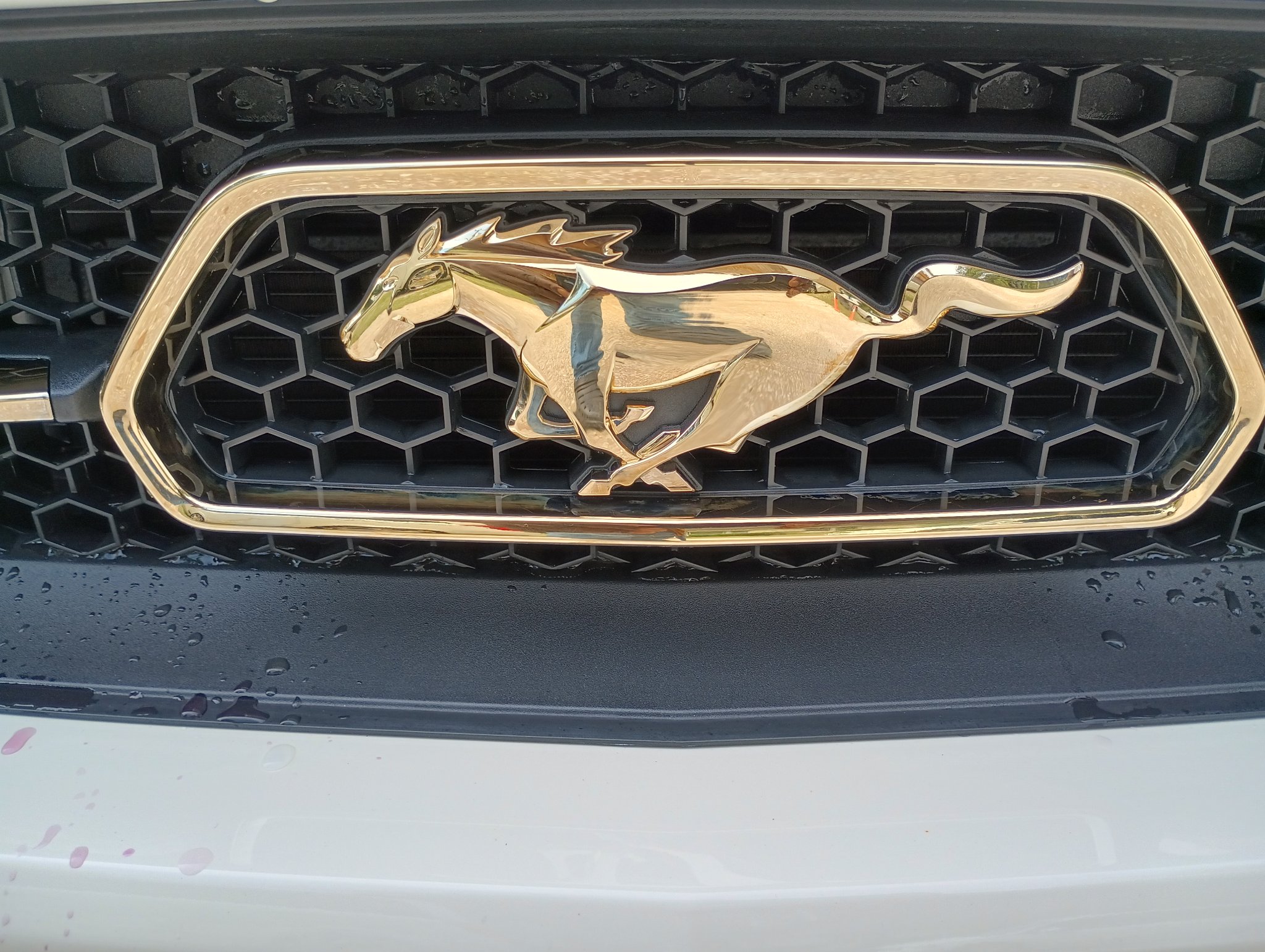 ChromeKarats gold plating work — Gold Mustang Pony Grille Emblem